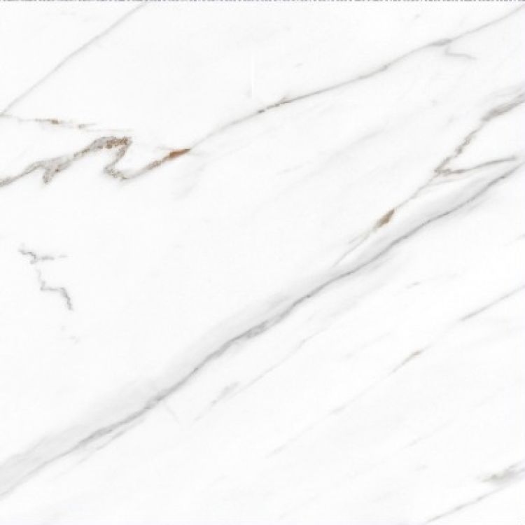 AGL Carrara Polished 24 x 24